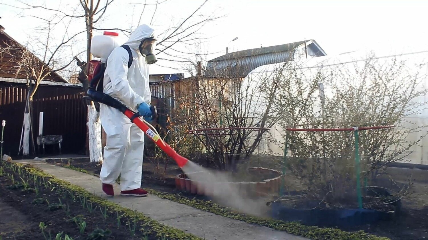 ФОТО Уничтожение муравьёв в селе Московской области Тарасовка