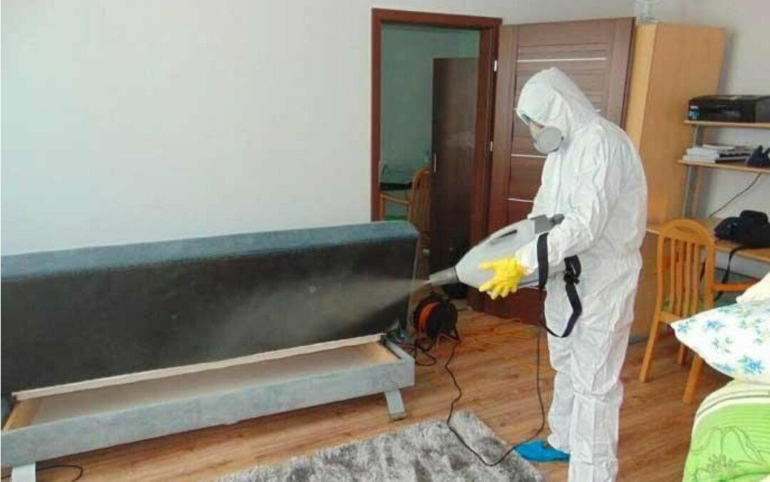 ФОТО Уничтожение блох в селе Московской области Тарасовка