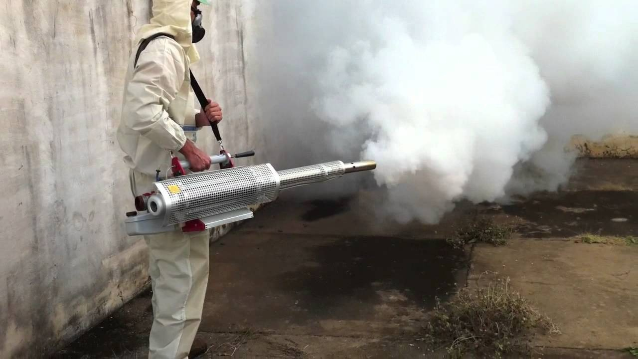 ФОТО Уничтожение мух в селе Московской области Тарасовка