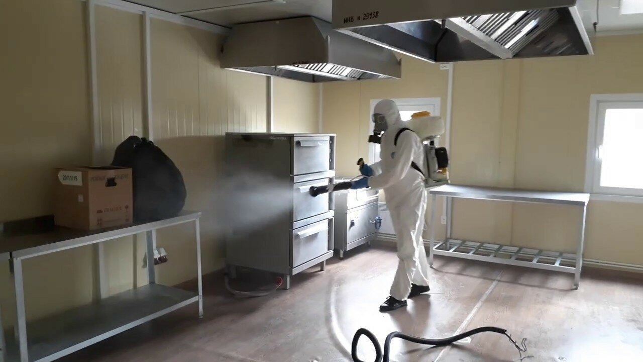 ФОТО Можно ли провести дезинсекцию самостоятельно и какие существуют риски в селе Московской области Тарасовка? | подробно