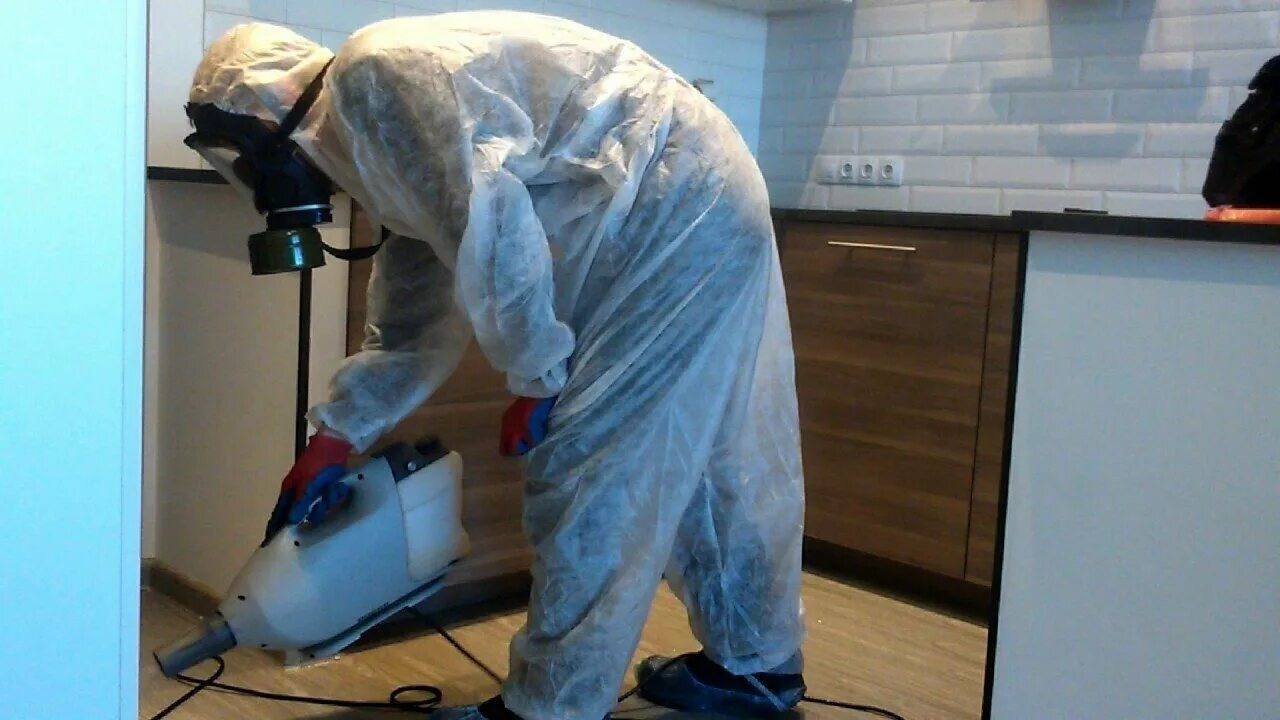 ФОТО Как подготовить домашних животных к обработке от насекомых в селе Московской области Тарасовка? | подробно