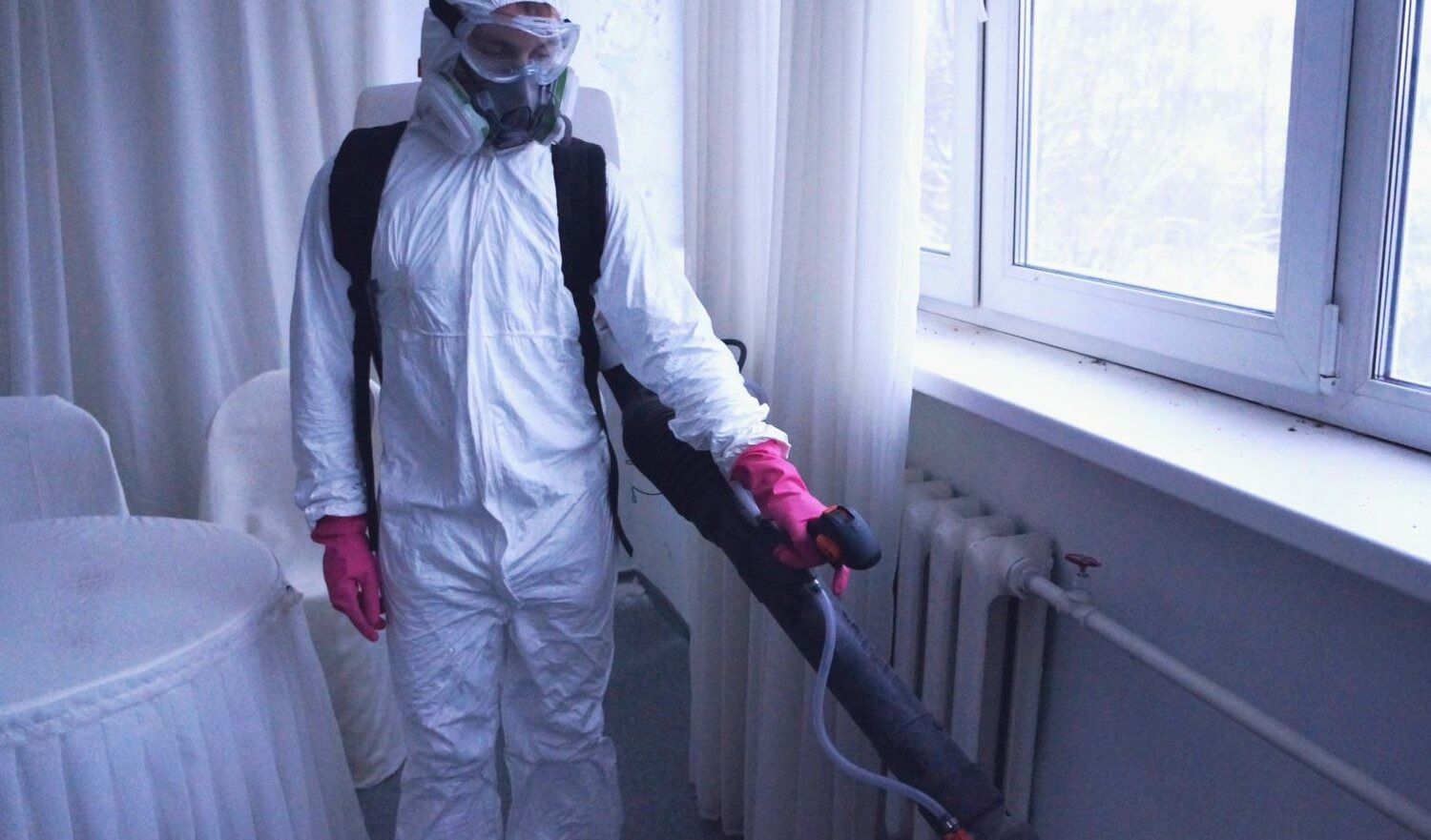 ФОТО Нужно ли выносить растения при дезинсекции в селе Московской области Тарасовка? | подробно