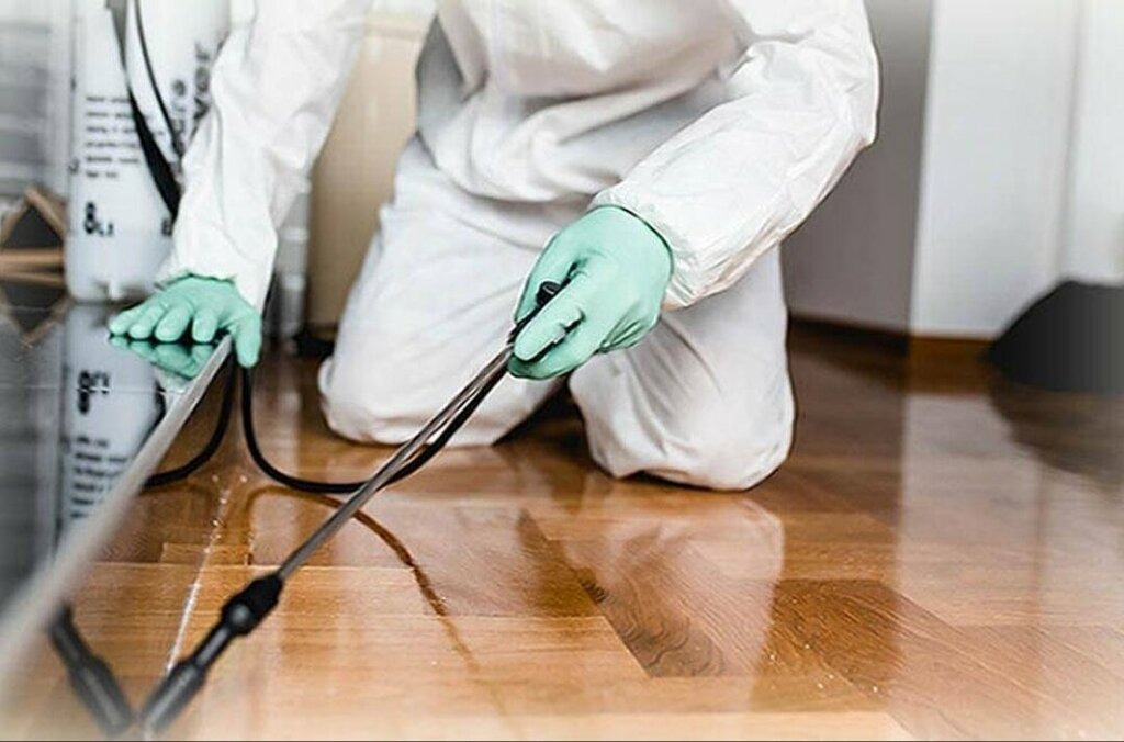 ФОТО Как подготовить вентиляцию при предстоящей дезинсекции в селе Московской области Тарасовка?