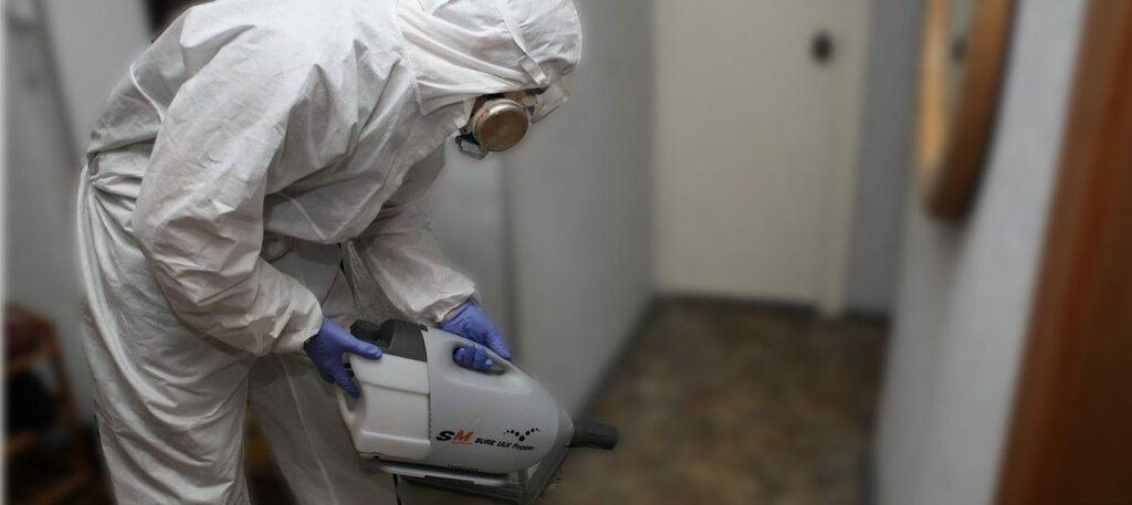 ФОТО Остаются ли следы после обработки квартиры от насекомых в селе Московской области Тарасовка? | подробно