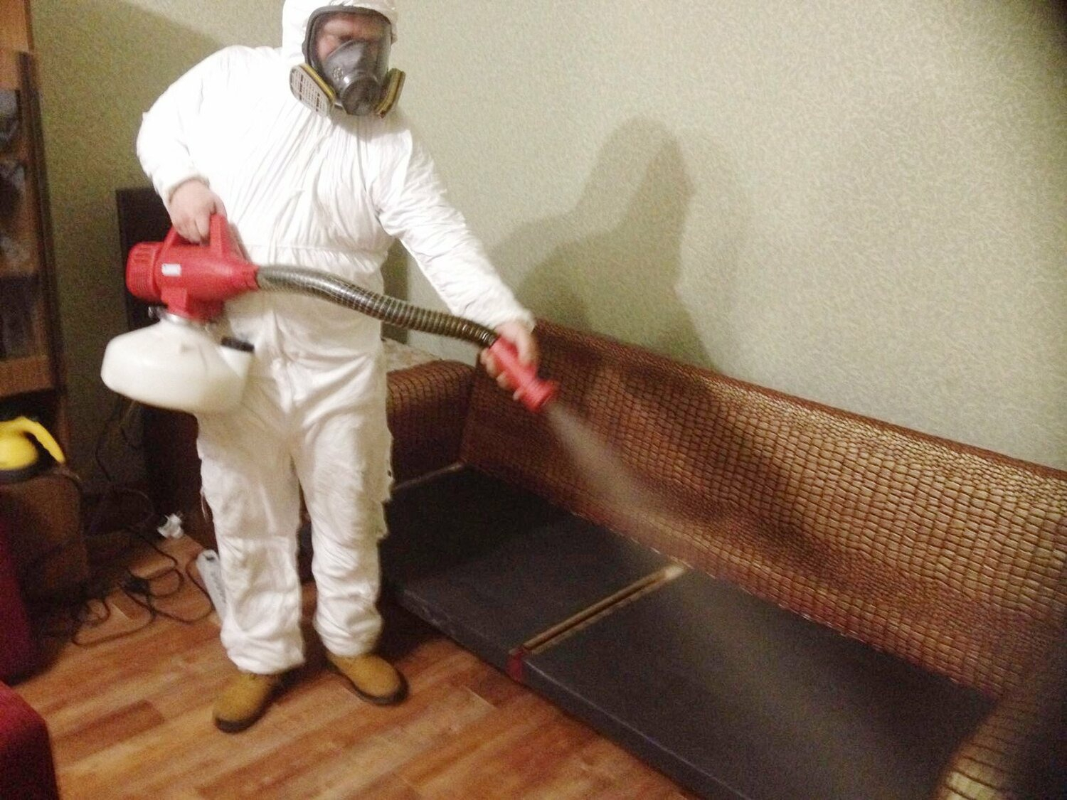 ФОТО Когда можно вернуться в помещение после дезинсекции в селе Московской области Тарасовка? | подробно