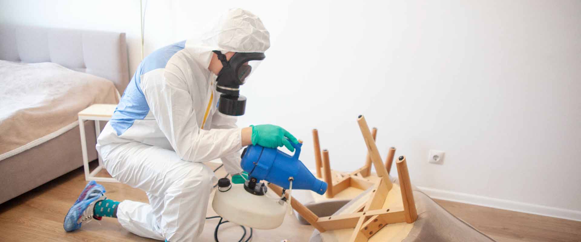 фото: Уничтожение постельных клопов с 1-го раза с гарантией за 30-60 мин. в селе Московской области Тарасовка без предоплаты