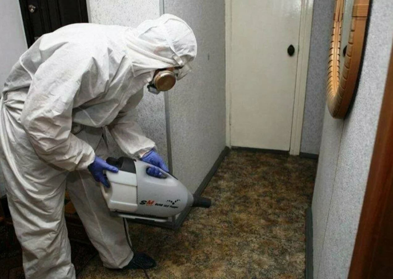 фото: Профессиональная дезинсекция в селе Московской области Тарасовка: <br/>+7-909-173-42-96