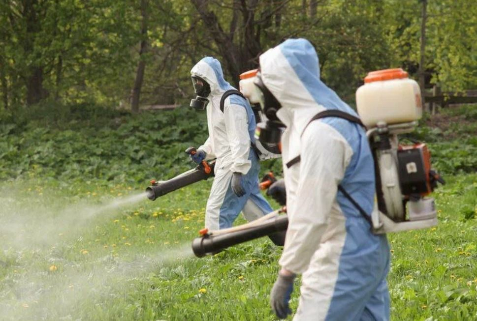 фото: Профессиональное уничтожение мух в селе Московской области Тарасовка: <br/>+7-909-173-42-96